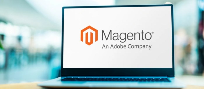 Using Magento for e-commerce Magento: qué es y cómo utilizarlo para el ...