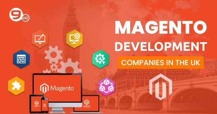 Create a Top eCommerce Website with Magento Trends