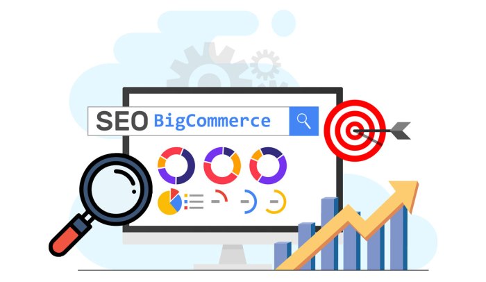 BigCommerce SEO Agency | BigCommerce SEO Services in India