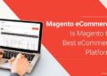 10 Best Magento Development Companies You Should Consider in 2025 ...