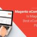 10 Best Magento Development Companies You Should Consider in 2025 ...