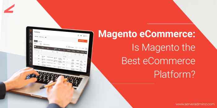 10 Best Magento Development Companies You Should Consider in 2025 ...