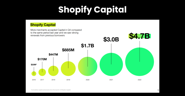 Shopify Capital Review 2022: How It Works, Rates, and More